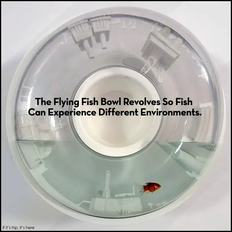 A Revolving Fish Tank. The Flying Fish Bowl by Raw Edges. | If It’s Hip