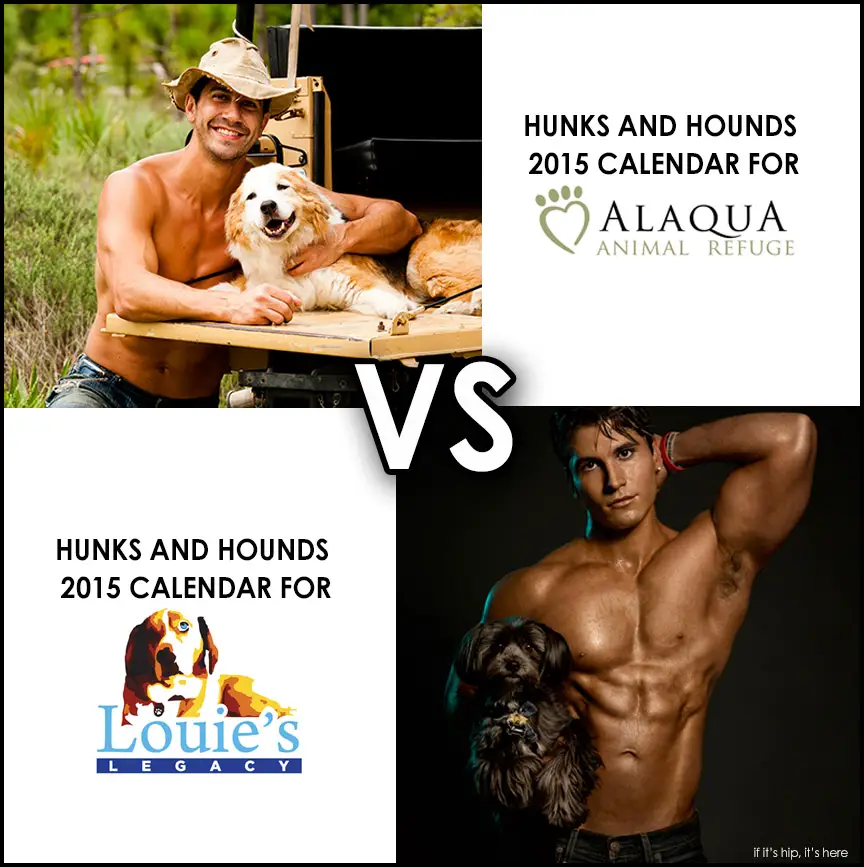2015 Hunks and Hounds Calendar