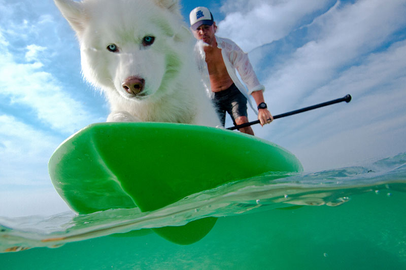 hunks_and_hounds_alaqua_animal_refuge_68