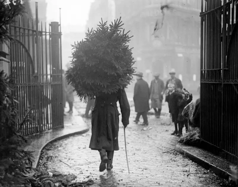 soldier carrying christmas tree, 1915