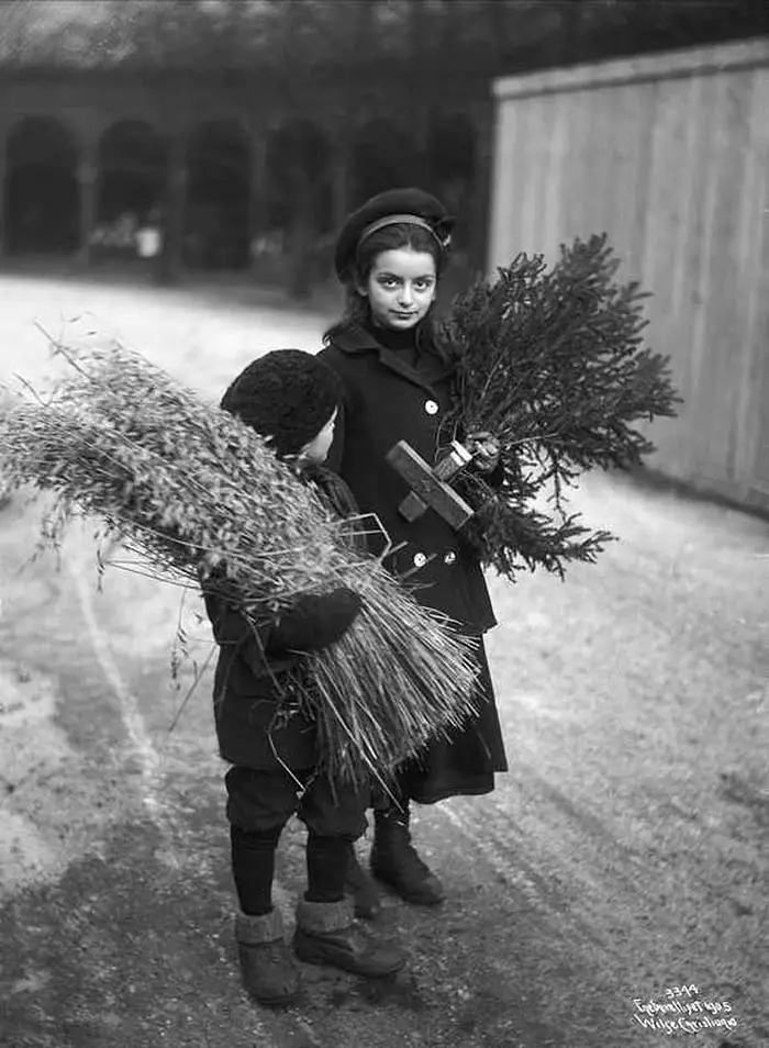 Scandinavian children bringing home christmas trees