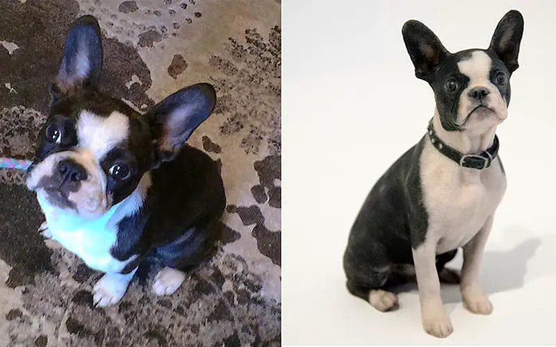 boston terrioer 3d printed