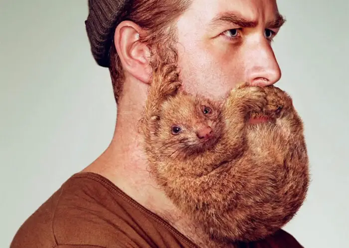 Schick Animal Beards