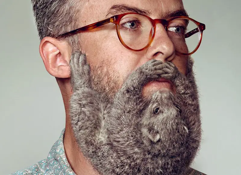 Schick Animal Beards close up