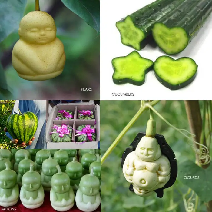 grow cool shaped fruit