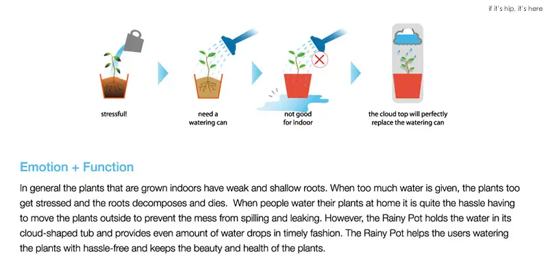 The Plant Rainy Pot