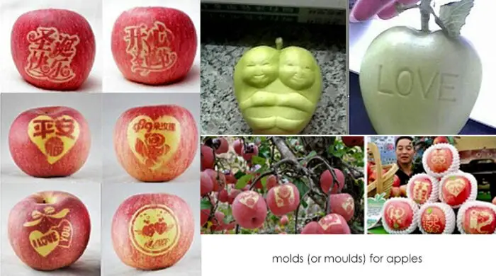 apple molds IIHIH