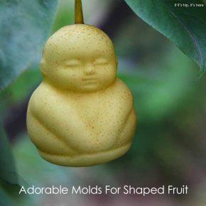 Grow Your Own Fun Shaped Fruit. Molds For Pears, Apples, Melons & More.