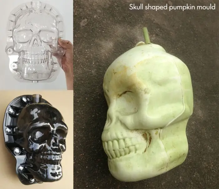 skull shaped pumpkin mould