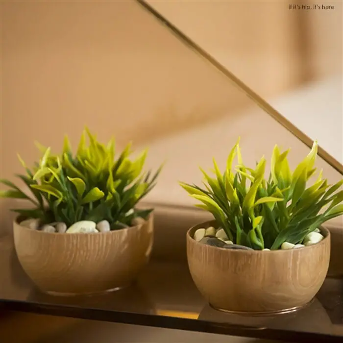 EXENTIAL wood bowls plants IIHIH