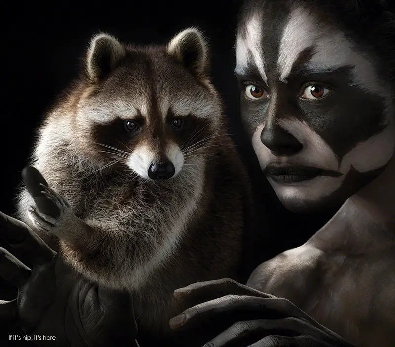 raccoon face makeup