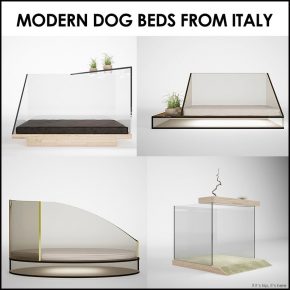 Outrageously Modern Designer Dog Beds by Cucce d’ Arredo