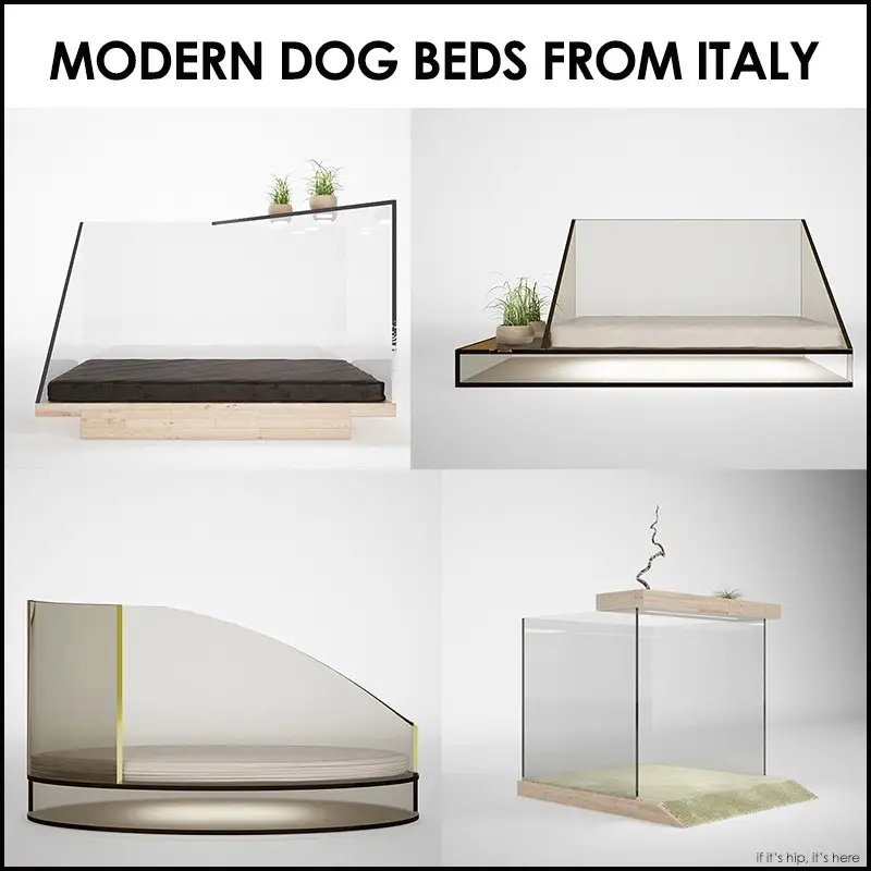 Read more about the article Outrageously Modern Designer Dog Beds by Cucce d’ Arredo