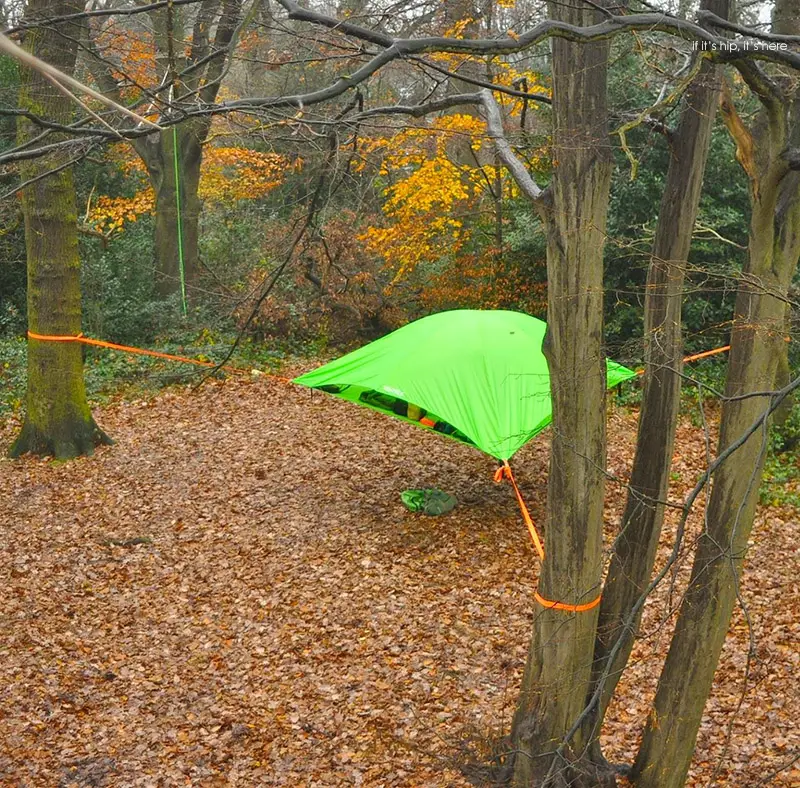 vista in woods