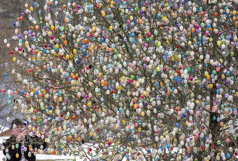 easter eggs on tree