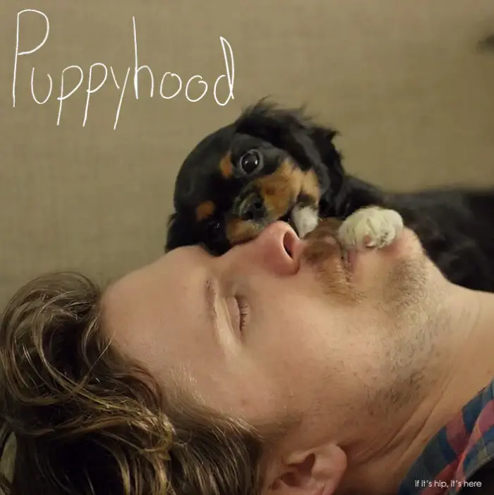 Read more about the article Puppyhood: 3.5 Minutes Of Dog-Bonding That Will Melt Your Heart.