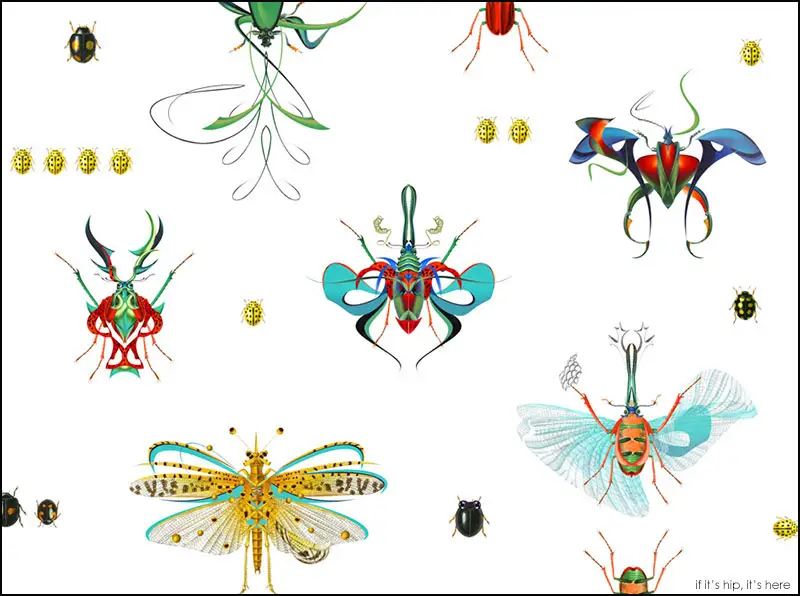 botany series Book of insects