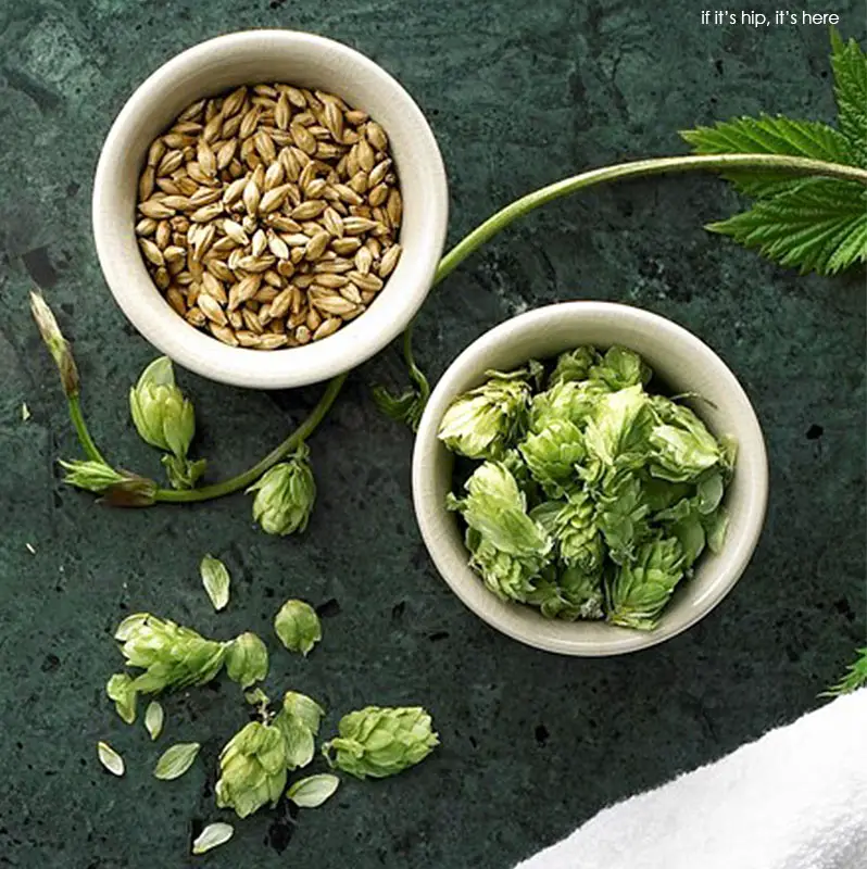 carlsberg beer beauty ingredients IIHIH