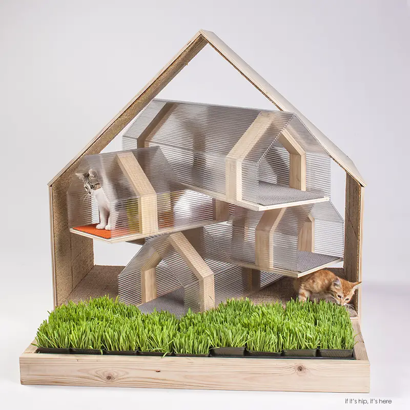 Cool Cribs for Cats