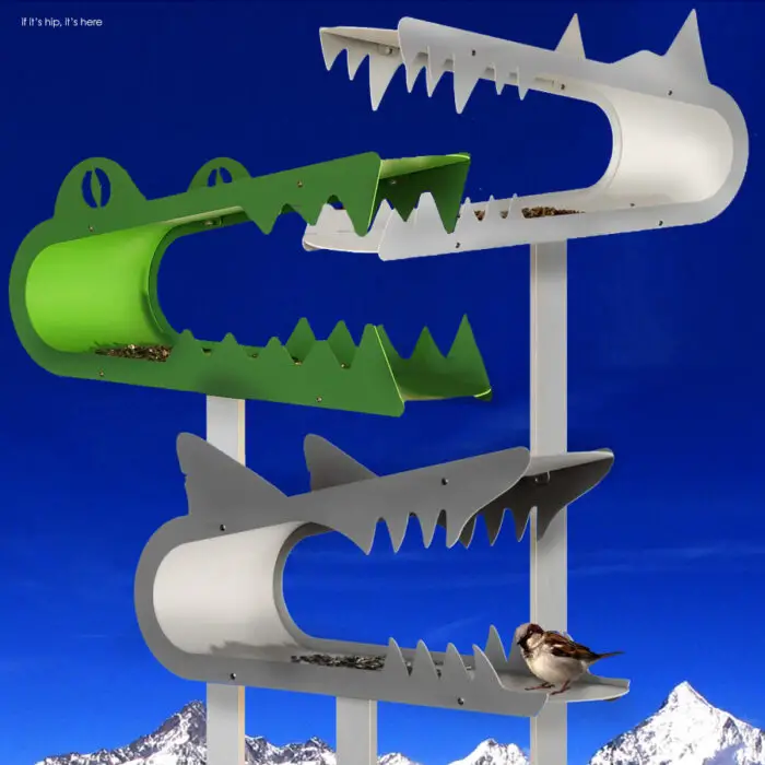 Read more about the article Shark, Wolf and Alligator Jaws Are Homes For Brave Birdies.