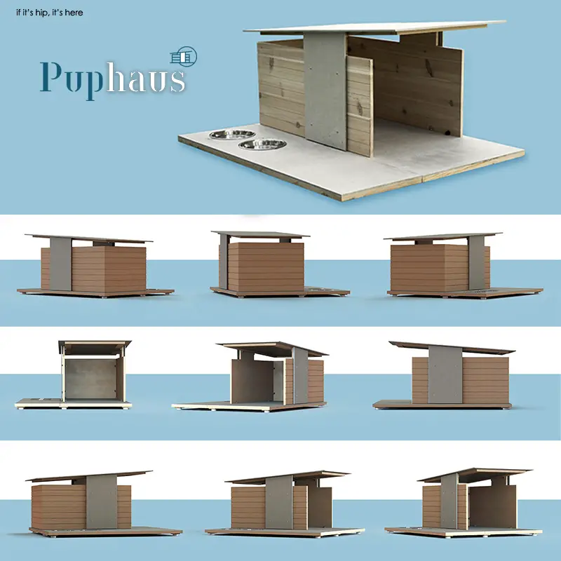 Puphaus renderings from all angles ganged IIHIH