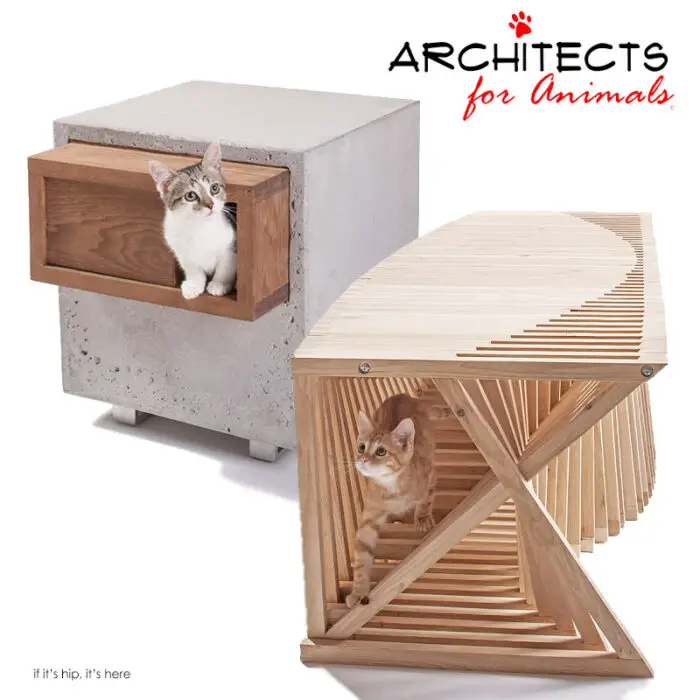 Read more about the article Cool Cribs for Cats Designed by 14 Architects.