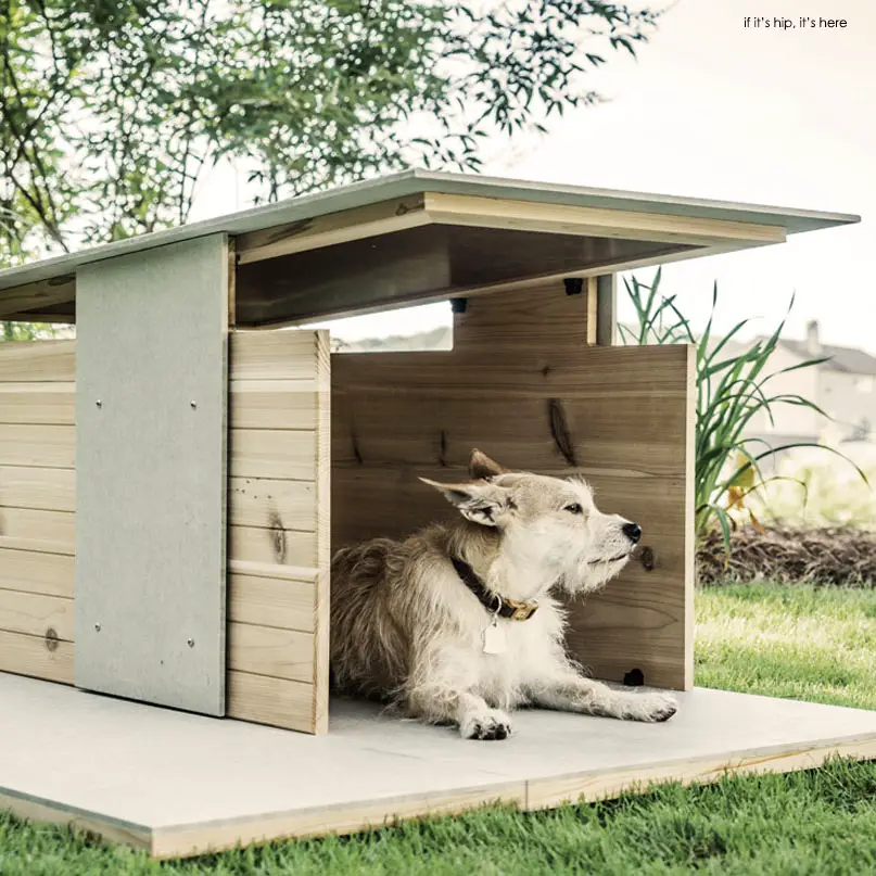 Read more about the article Dog Digs to Love: The Puphaus by Pyramd Design Co