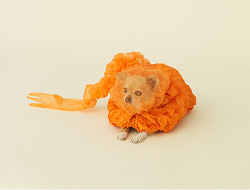 Chihuahua Cloud by reiser + umemoto