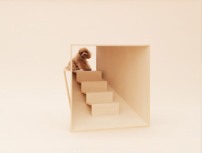 D-Tunnel for the Teacup Poodle by kenya-hara
