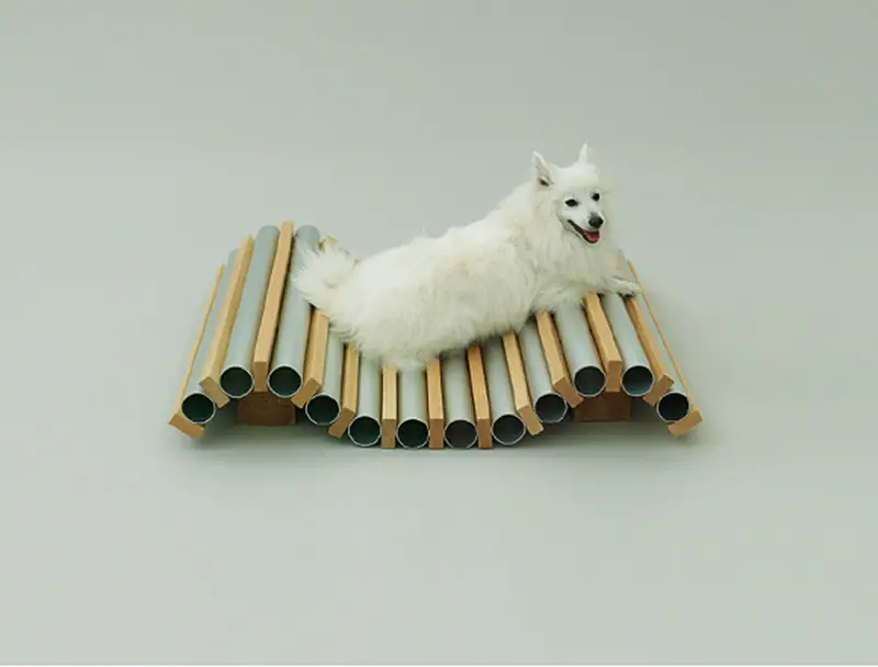 Dog Cooler for Spitz by hiroshi-naito
