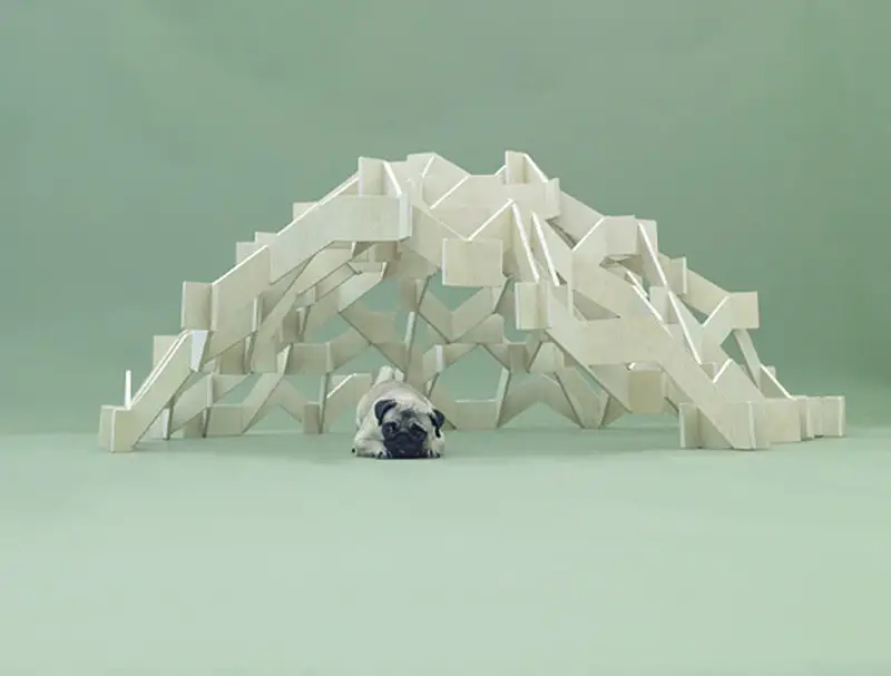 Mount Pug by kengo-kuma