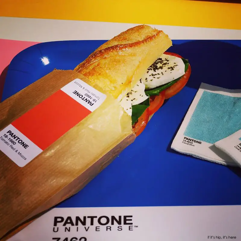 Pantone cafe sandwich on tray