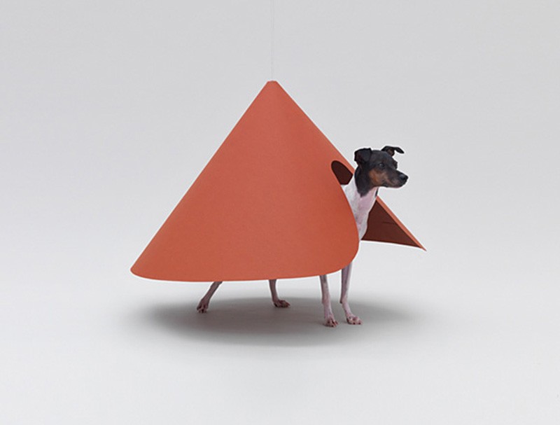 Pointed T for the Japanese terrier by hara-design-institute