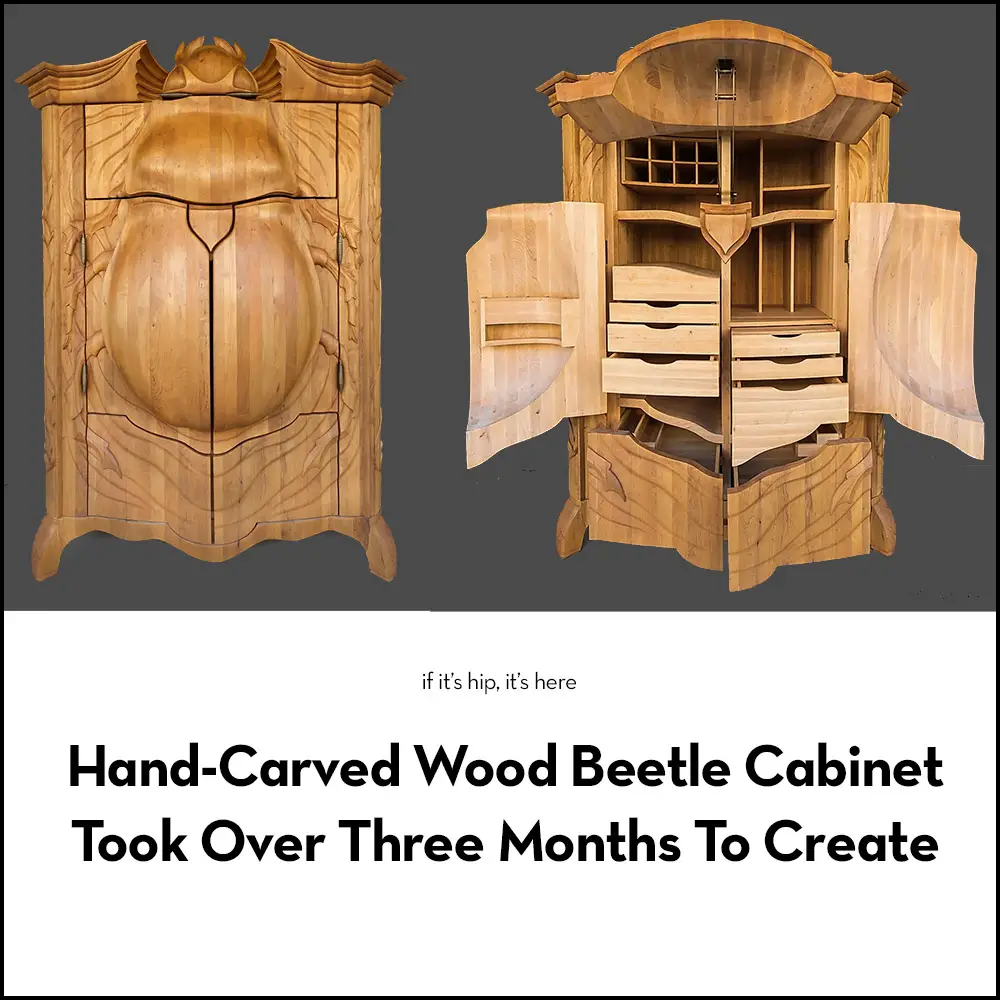 Carved Beetle Cabinet by Janis Straupe