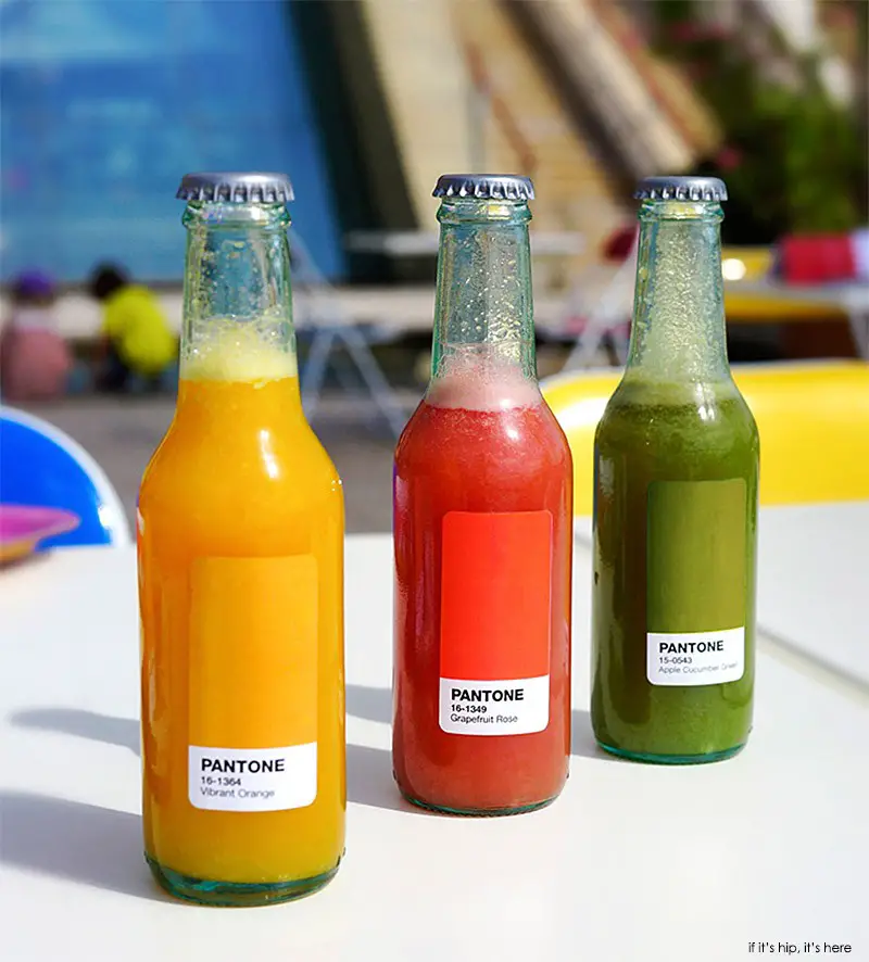 bottled pantone sodas IIHIH