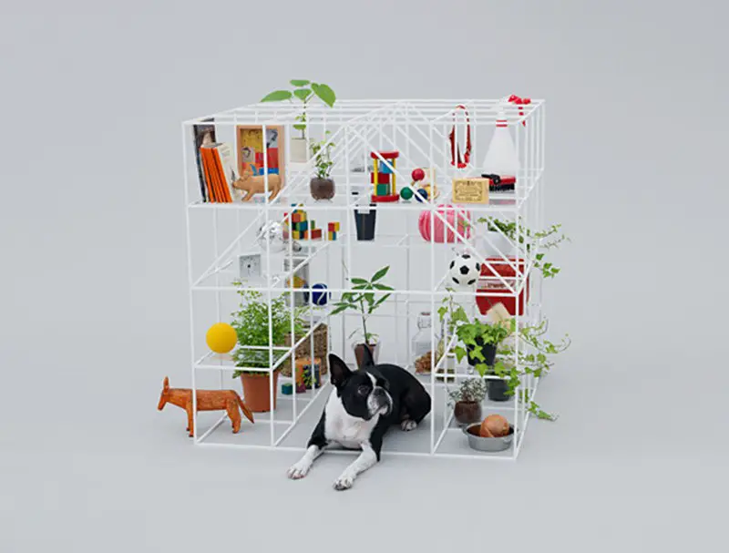 no dog no life by sou fujimoto