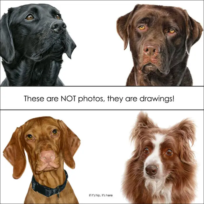 hyper realistic drawings of dogs