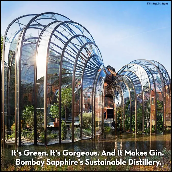 Read more about the article It’s Green. It’s Gorgeous. And It Makes Gin. Bombay Sapphire’s Sustainable Distillery.