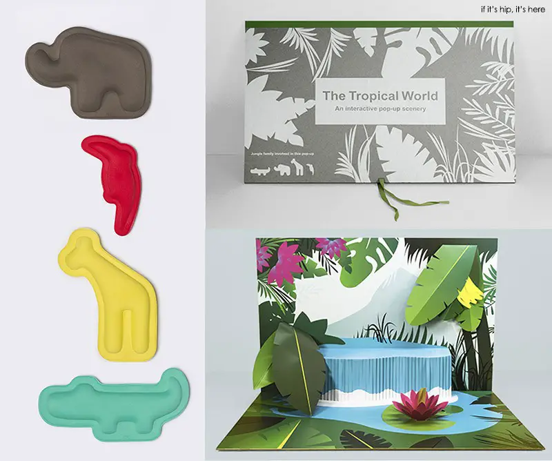 Tropical animals and pop up