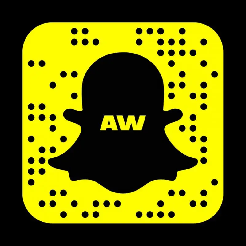 alexander wang snapchat account icon