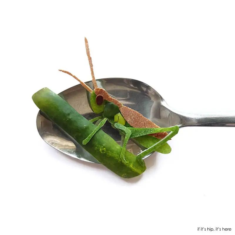 cricket on spoon