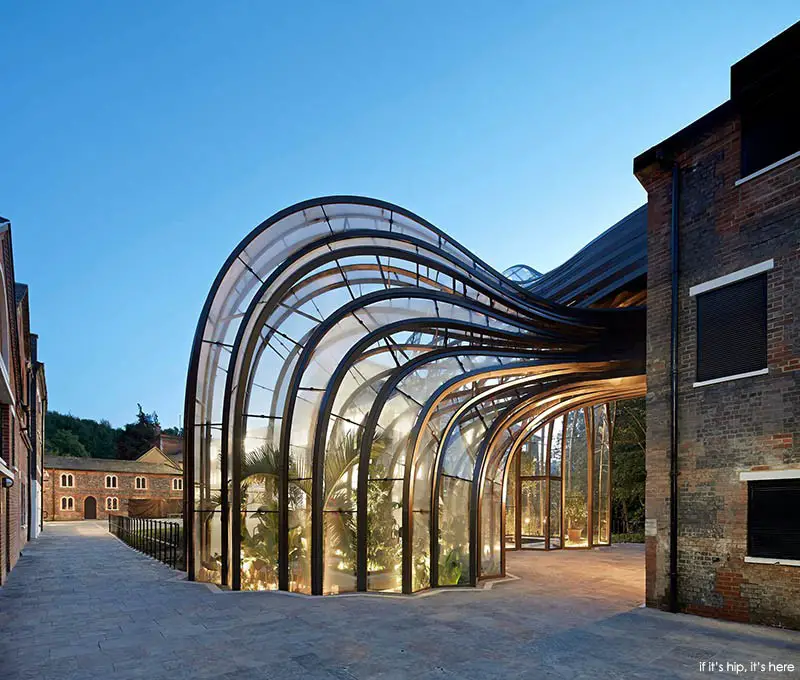 glasshouses at distillery 4 IIHIH