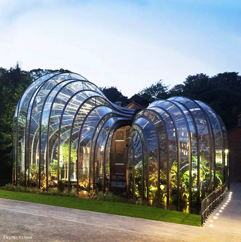 glasshouses at distillery 5 IIHIH