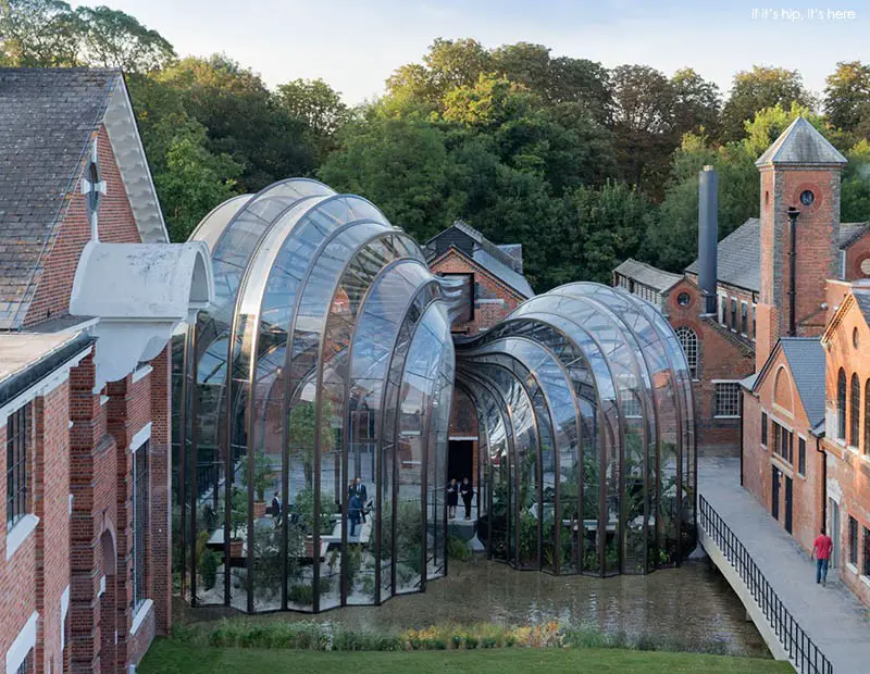 glasshouses at distillery 7 IIHIH