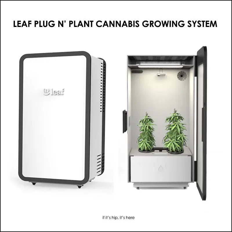 plug n' plant