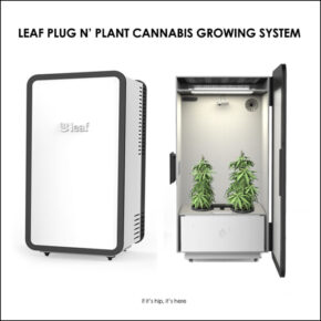 Marijuana Grow Boxes Go High Tech: Leaf Cannabis Home Growing System