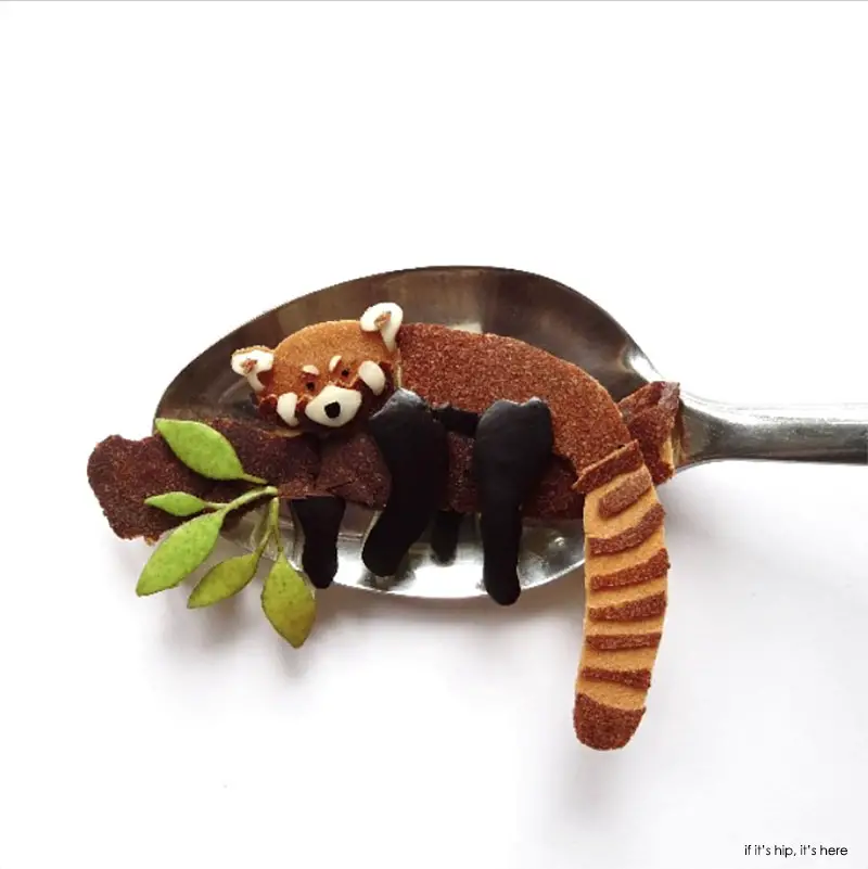 red panda on spoon