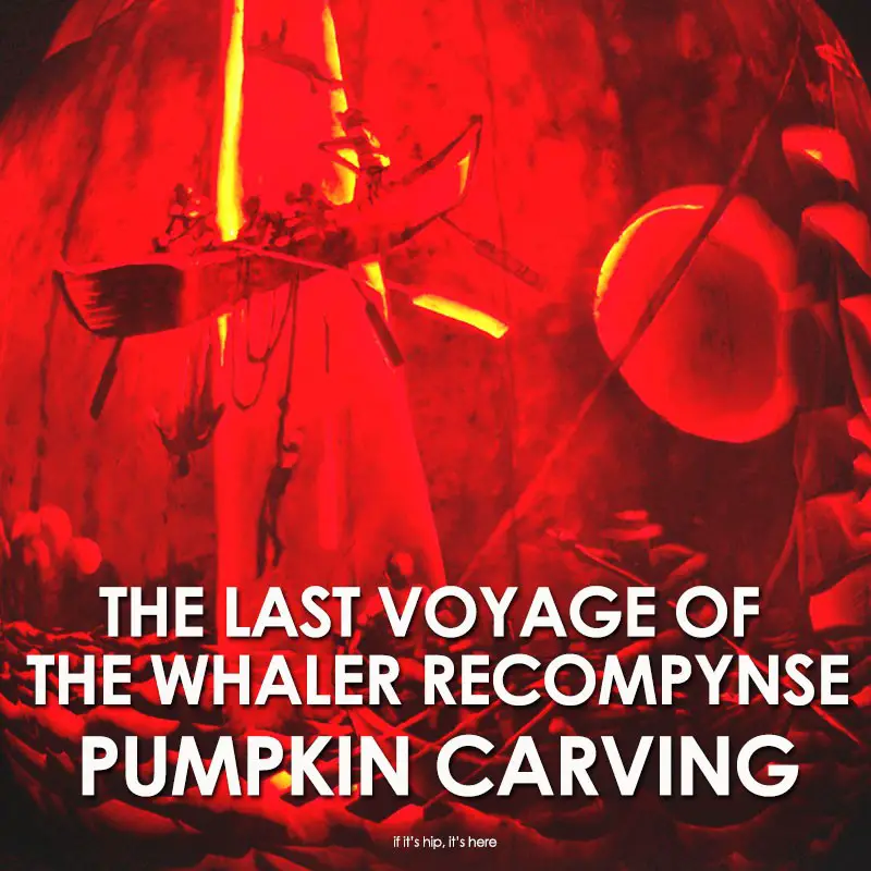 last voyage of the whalee recompynse pumpkin