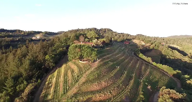 Napa Valley from above