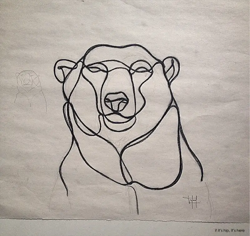 polar bear sketch